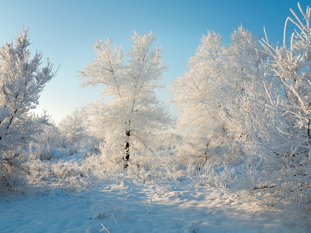 青森県の風景：雪景色